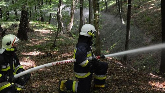 Wystarczy iskra. Lasy zagrożone przez suszę