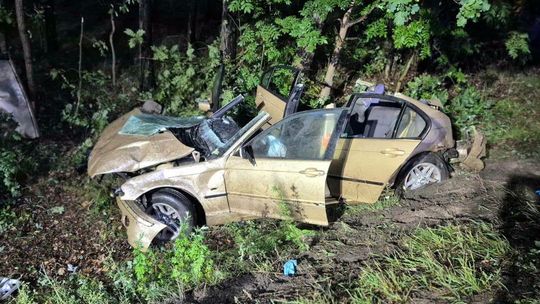 BMW uderzyło w konar na drodze krajowej. Nie żyje 19-latka