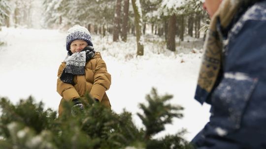 Boże Narodzenie 2022. Ile trzeba wydać na choinkę?