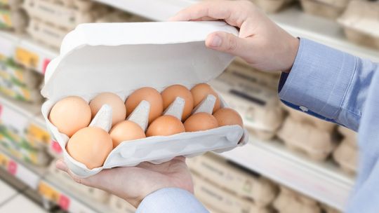 Brązowe jajka znikają ze sklepów u sąsiadów. A u nas?