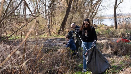 Czysta Odra 2026 w Szczecinie. Wojewoda Adam Rudawski daje przykład i sprząta brzegi rzeki