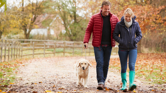 Mamy długi weekend i potem też dużo wolnego w grudniu Mamy długi weekend i potem też dużo wolnego w grudniu