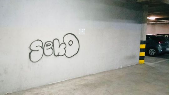 Dostał karę za graffiti. które... znalazł w internecie