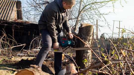 Wycinają całe połacie lasów. Ty wytniesz i możesz się nie wypłacić