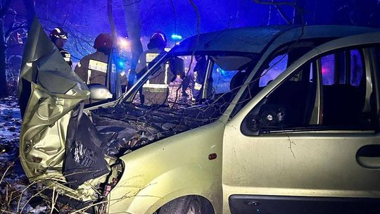 Groźny wypadek na śliskiej drodze. Samochód uderzył w dzika i wypadł z drogi