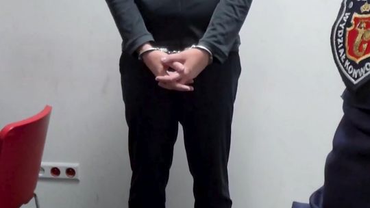 Ekstradycja podejrzanych kosztuje duże pieniądze