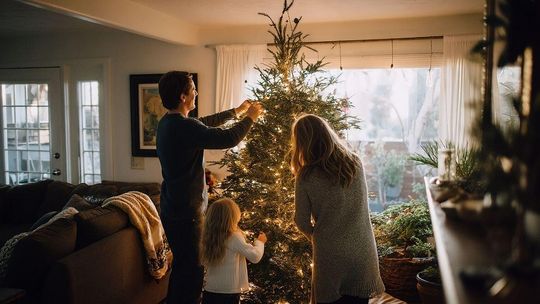 Tyle w tym roku zapłacimy za choinkę. Będzie drożej