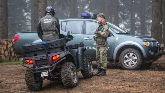 Wjeżdżasz autem do lasu na grzyby? Straż Leśna prowadzi ogólnopolską akcję „Jesień 26”