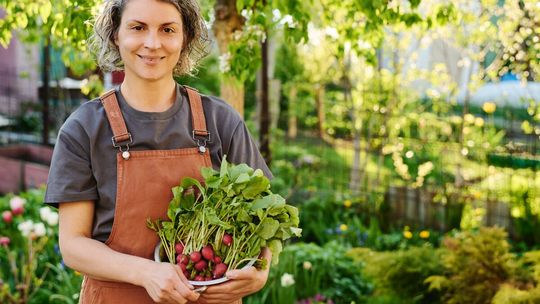 Polska rzodkiewka już w sprzedaży. Krajowe nowalijki uderzają w import i kuszą niską ceną Polska rzodkiewka już w sprzedaży. Krajowe nowalijki uderzają w import i kuszą niską ceną