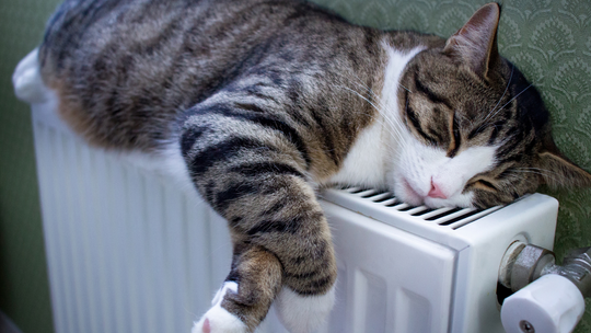 Od dziś możemy składać wnioski o bon ciepłowniczy