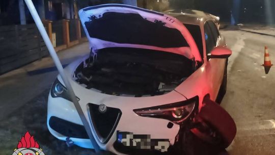 Kobieta zasłabła za kierownicą. Auto z impetem wbiło się w drzewo i skasowało znak drogowy