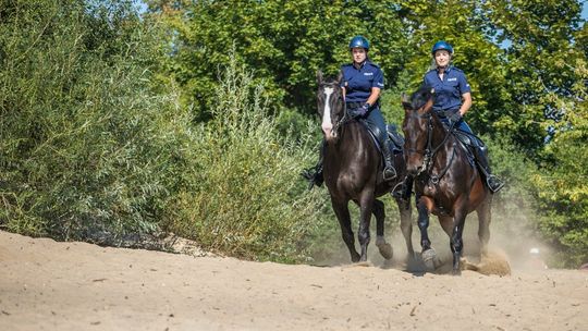 Konie w służbie policji