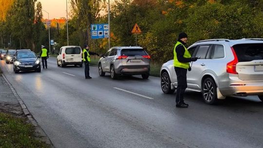 Nastawił się na wyzbieranie wszystkich grzybów, więc zażył narkotyki. Halucynogenne "grzybki"