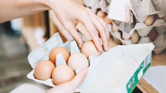 Kryzys jajeczny w Polsce. Czy powrót do chowu klatkowego uratuje nasze portfele?
