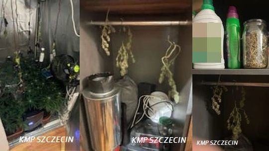 Palił się balkon czy marihuana?