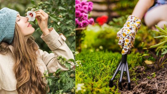 Wiosna uderzy dwa razy: Astronomiczny przełom i kalendarzowy start dzielą tylko godziny