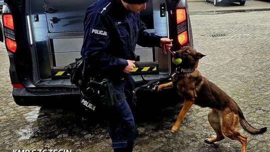 Pijany sprawca kolizji został zdemaskowany