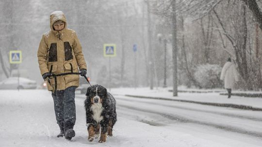 Pogoda. Wraca zima, ale nie w całej Polsce