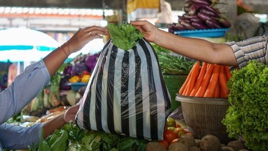 Rewolucja w koszykach zakupowych. Sezonowość i polskie produkty kluczem do zdrowej diety rodaków