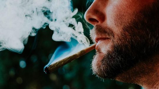 Marihuana medyczna coraz bardziej popularna. „Zioło” o różnych smakach