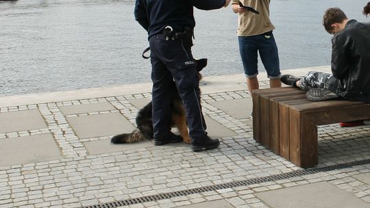 Poszukiwany łowił ryby. Wyłowiła go policja prosto do aresztu