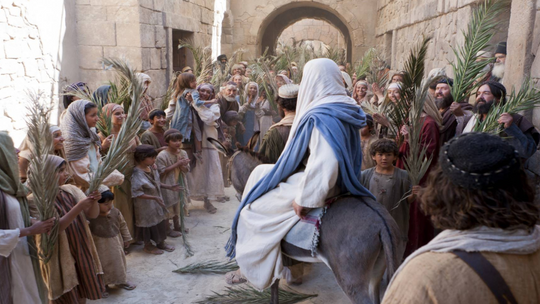 W Niedzielę Palmową świętujemy na pamiątkę wjazdu Jezusa do Jerozolimy