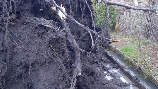 RCB ostrzega: Nadchodzą kolejne wichury