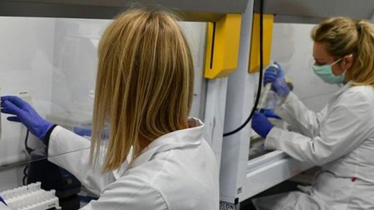 Sanepid potwierdził pierwszy przypadek wariantu omikron koronawirusa w Polsce