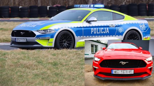 Z rowu na policyjne sygnały. Skonfiskowany Ford Mustang staje do walki z piratami drogowymi