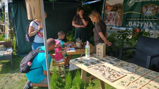 Spotkaj się z leśnikami. Przygotowali wiele atrakcji