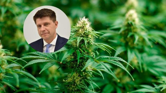 Będzie awantura w Sejmie o posiadania marihuany. Politycy będą chcieli coś ugrać na marihuanie
