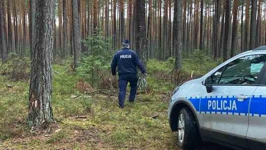 Tragedia w środku lasu. Najpierw zabił córeczkę, potem siebie