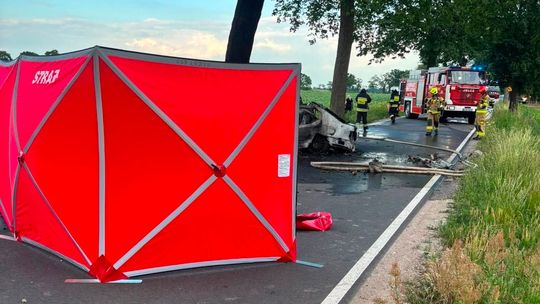 Tragiczny wypadek: Honda spłonęła po uderzeniu w drzewo, nie żyje kierowca