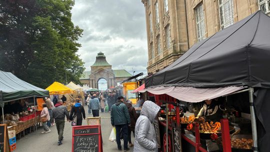 Kiermasz Ogrodniczy w Szczecinie „Pamiętajcie o ogrodach” wzbudza zainteresowanie [FOTO]