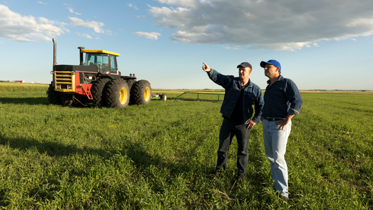 Ludzie na wsi chcą polexitu? To opowieści polityków, a nie rolników Ludzie na wsi chcą polexitu? To opowieści polityków, a nie rolników