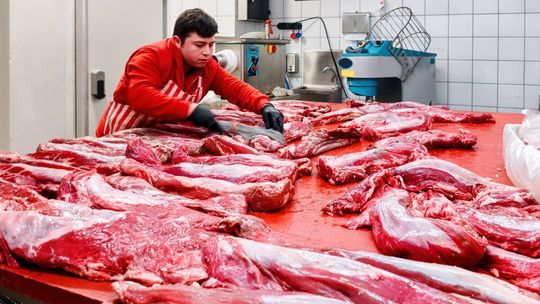 Afera w chłodniach: Kontrolerzy ujawnili prawdę o pochodzeniu mięsa