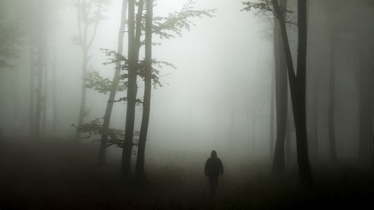 Zaczął się sezon na grzyby. A to oznacza, że policja będzie miała dużo pracy