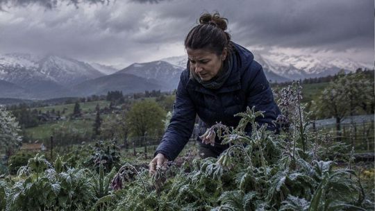 Pogoda na maj 2026. Gwałtowne ochłodzenie i śnieg w Tatrach zaskoczą kierowców