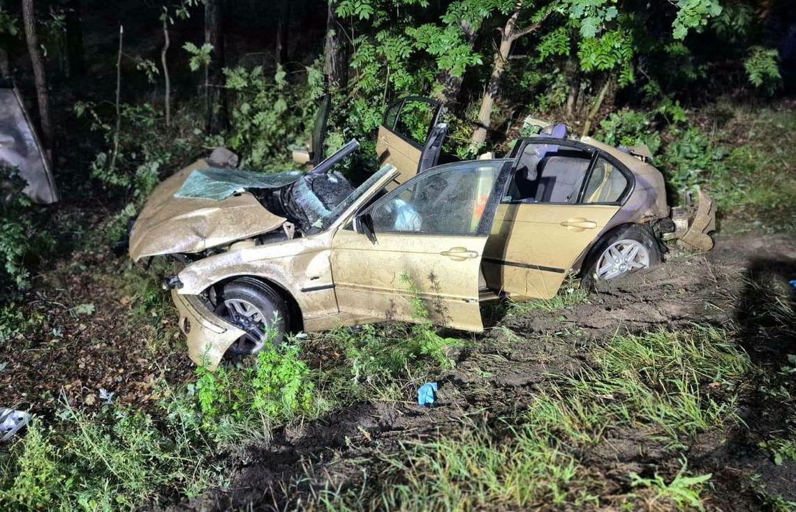 BMW uderzyło w konar na drodze krajowej. Nie żyje 19-latka