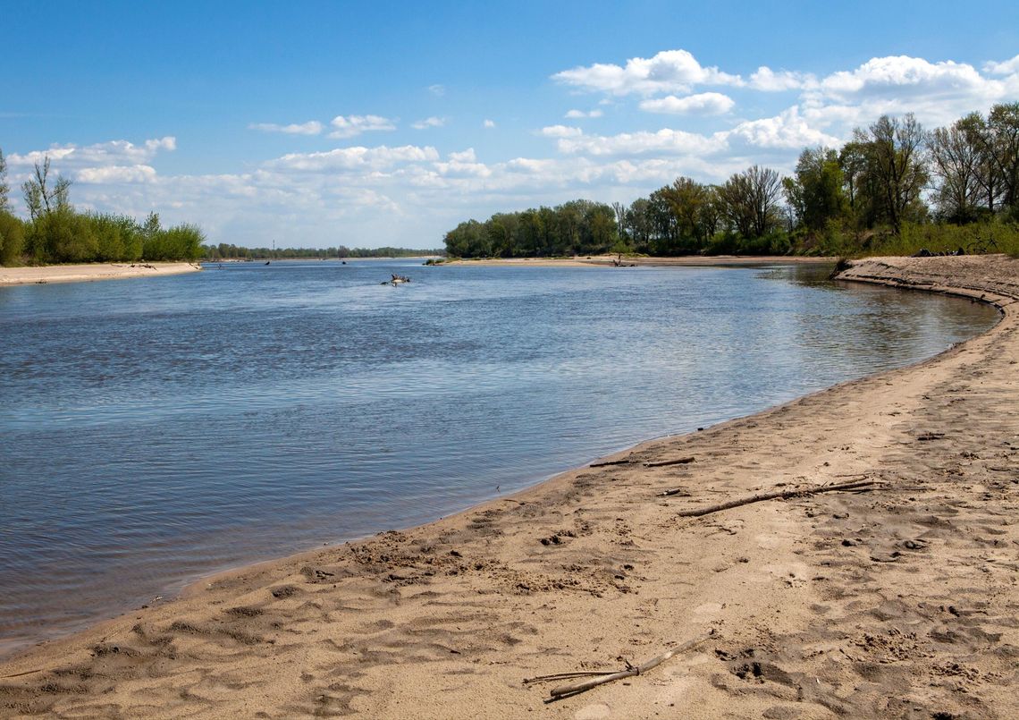 Deszcz wreszcie spadł, ale czy to koniec suszy? IMGW wydaje 100 ostrzeżeń hydrologicznych Deszcz wreszcie spadł, ale czy to koniec suszy? IMGW wydaje 100 ostrzeżeń hydrologicznych