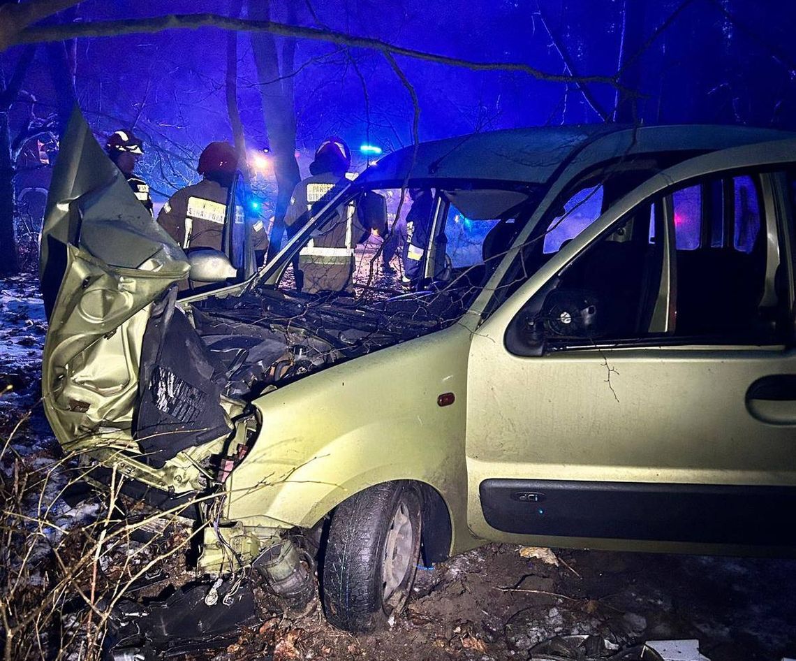 Groźny wypadek na śliskiej drodze. Samochód uderzył w dzika i wypadł z drogi