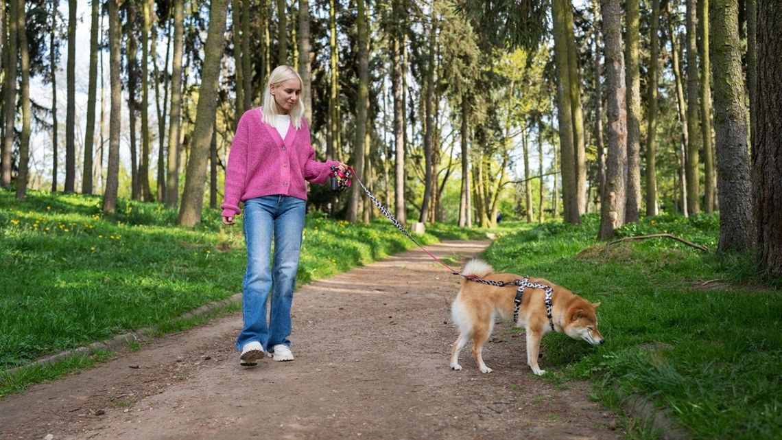 Spacer z psem skończył się mandatem? Mandat wart tysiące