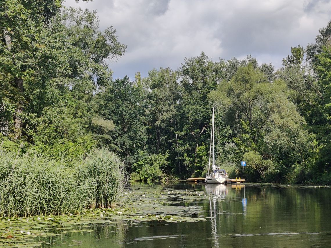 Jak Amazonka. Zachwycającą, dziką przyrodę zobaczycie w Szczecinie