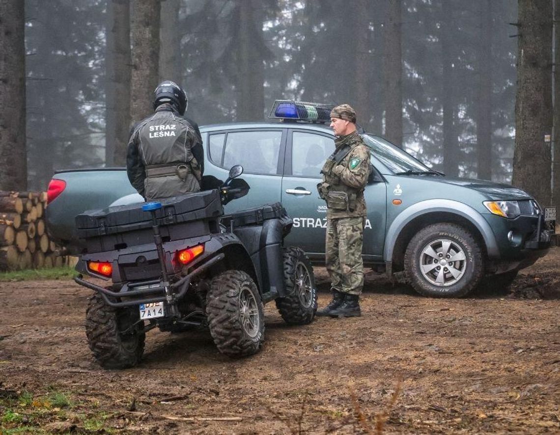 Wjeżdżasz autem do lasu na grzyby? Straż Leśna prowadzi ogólnopolską akcję „Jesień 26” Wjeżdżasz autem do lasu na grzyby? Straż Leśna prowadzi ogólnopolską akcję „Jesień 26”