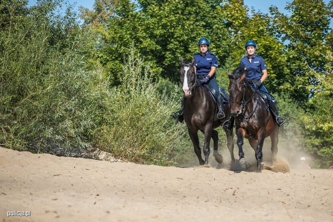 Konie w służbie policji