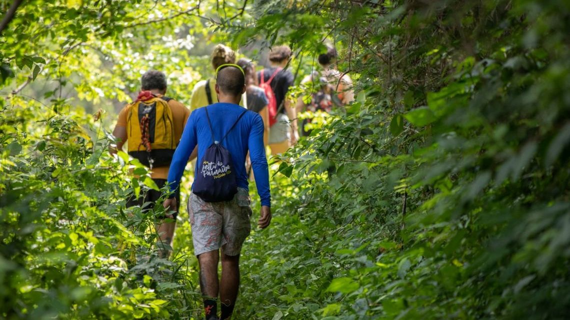 Leśnicy odradzają wyprawy do lasu. Jest zagrożenie pożarami w czasie upału