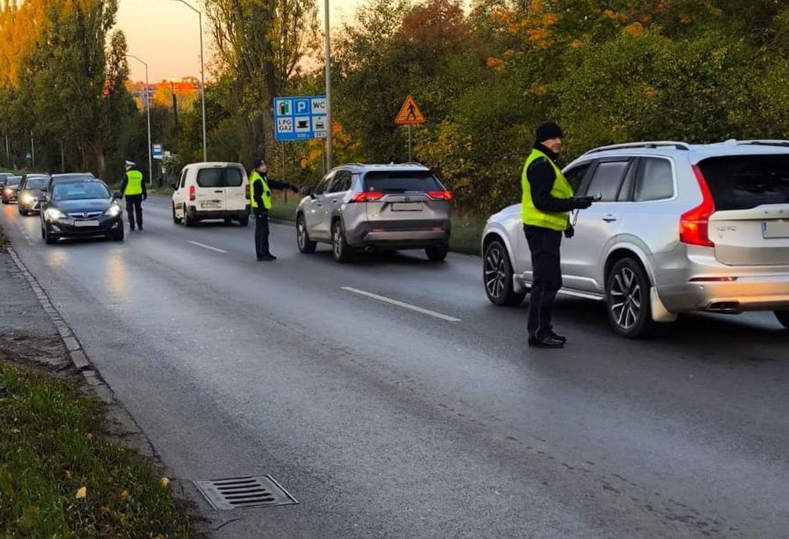 Nastawił się na wyzbieranie wszystkich grzybów, więc zażył narkotyki. Halucynogenne "grzybki"