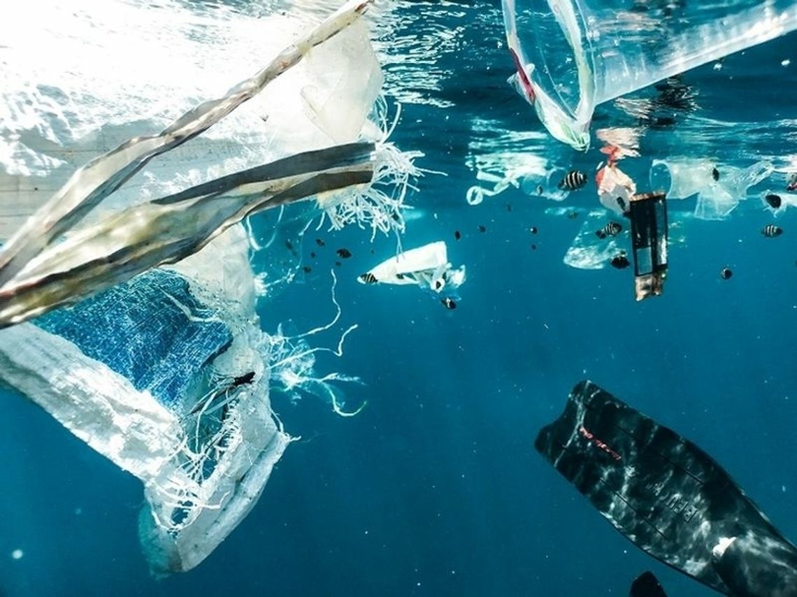 Czy mikroplastik jest niebezpieczny dla zdrowia?