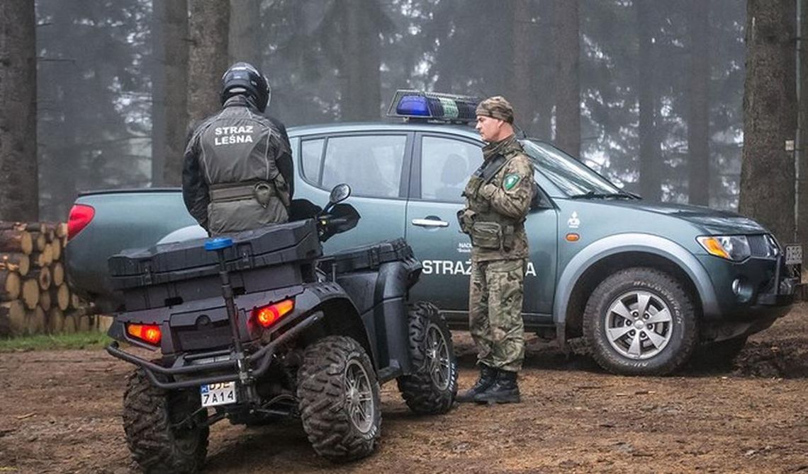 Patrole, kontrole, mandaty w naszych puszczach. Akcje specjalne