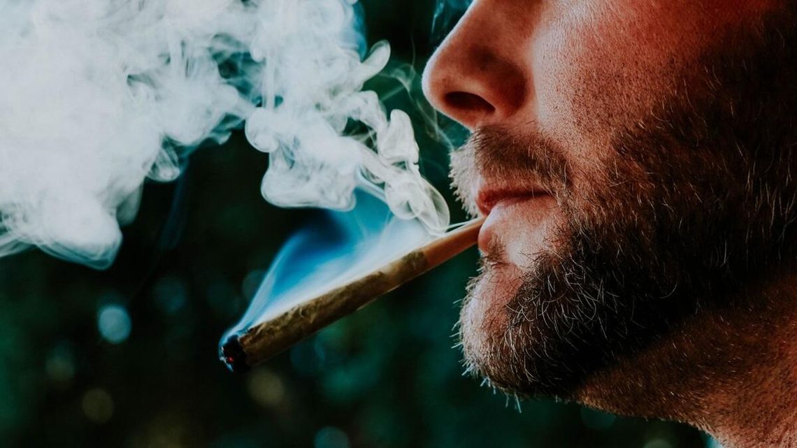 Marihuana medyczna coraz bardziej popularna. „Zioło” o różnych smakach